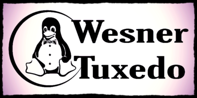 sponsor-wesner